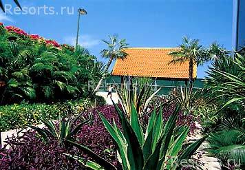 Pattaya Marriott Resort & Spa 4